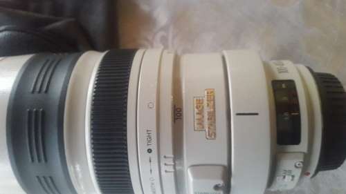 Canon EF 100-400mm f/4.5-5.6L IS USM Lens