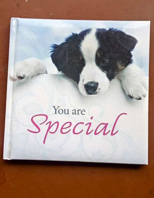 You are special inspirational hard cover book