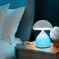 Colorful mushroom eye lamp