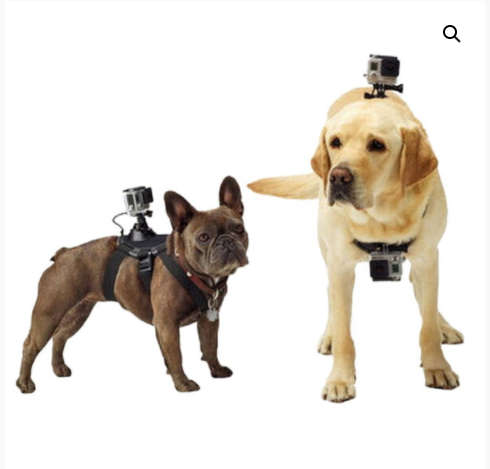 Pet Photography Harnass Bracket Strap GoPro Holder