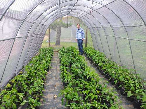 3.4Mx6Mx2.1M Vegetable Tunnel