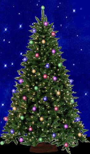 Solar Fairy Multicolor String Lights (50 LED, 5.9m)
