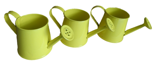 Miniture Watering Can Pot Plant (Mild Alloy - Yellow Only) R5 additional per item