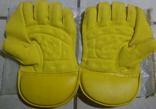 BAS Wicket Keeper Gloves (Youth to Men)