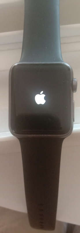Apple Watch Series 3 (Please Read - No Charger)