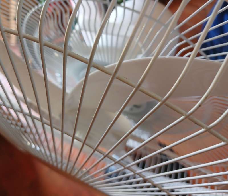 Goldair 40cm Rechargeable Pedestal Fan (Please Read - Cosmetics)