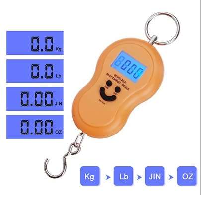 Digital LCD Portable Electronic Hanging Hook Luggage Scale Weight