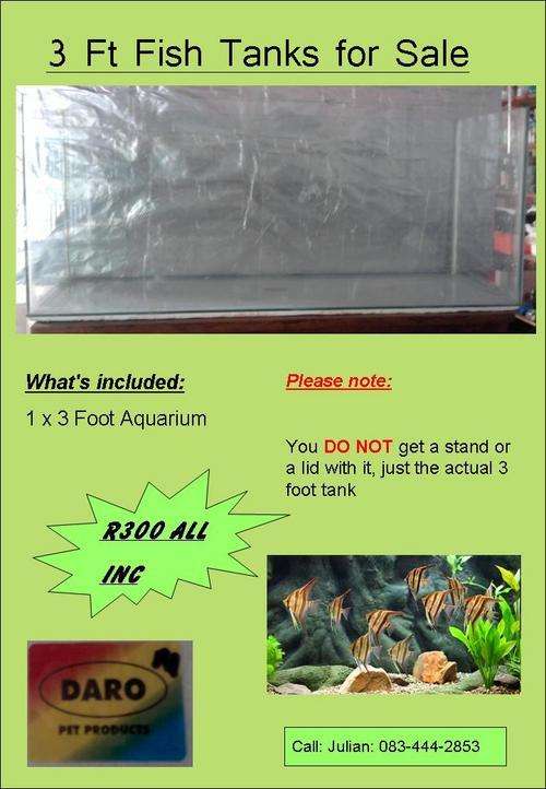 Fish Tank, Aquarium, 