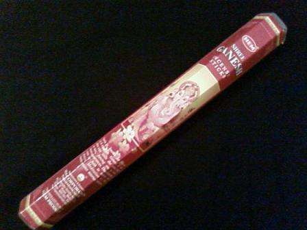 Ganesh Incense (20 Stick Tube)