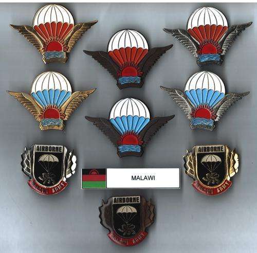 Malawi Para Wing Collection - all pins intact