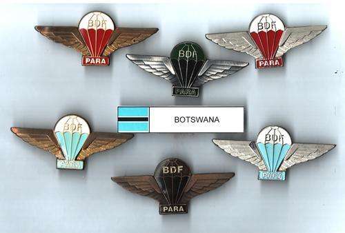 Botswana Para Wings Collection - all pins intact