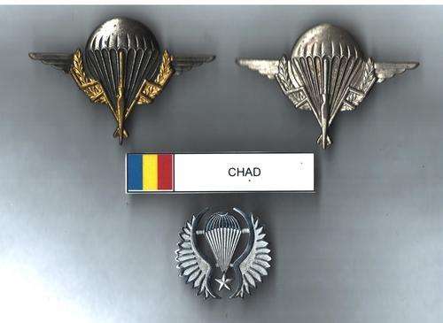 Chad Para Wings - all pins intact