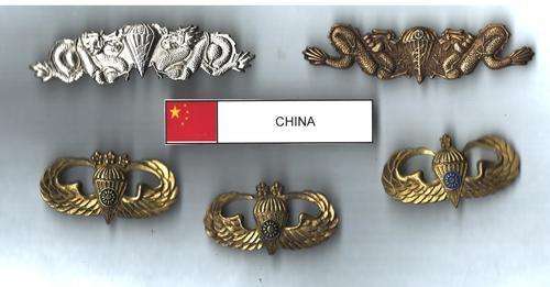 China Para Wings - Extremely Rare - all pins intact