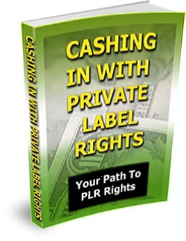 CASHING IN ON PLR RIGHTS - EBOOK