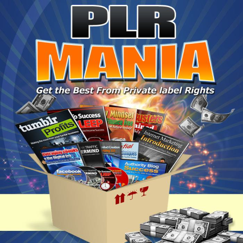 CASHING IN ON PLR RIGHTS - EBOOK