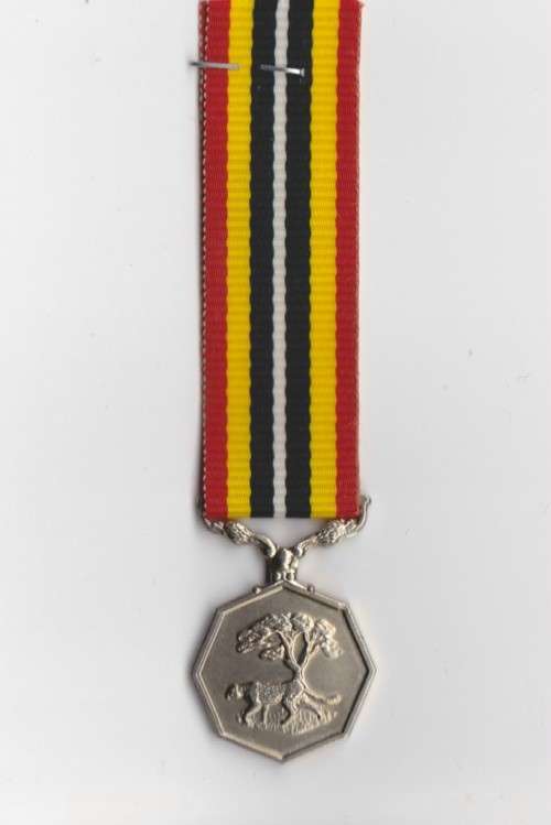 Southern Africa Medal. Miniature