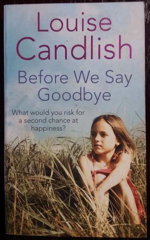 Before We Say Goodbye - by Louise Candlish