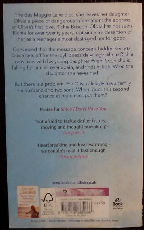 Before We Say Goodbye - by Louise Candlish