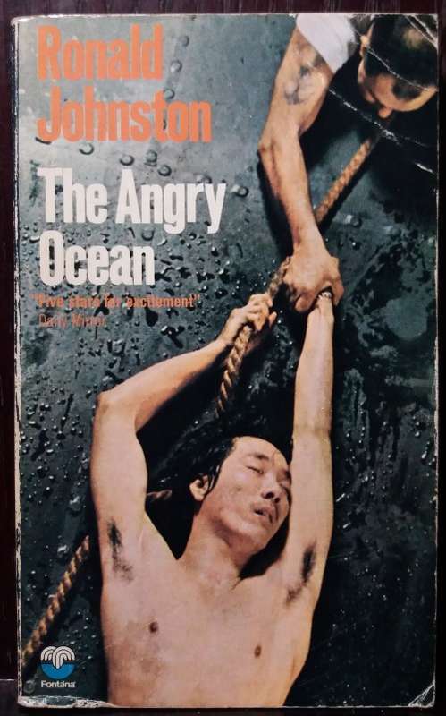 The Angry Ocean - Ronald Johnson