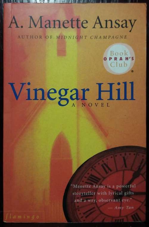 Vinegar Hill - A. Manette Ansay