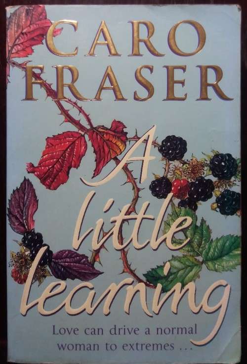 A Little Learning - Caro Fraser