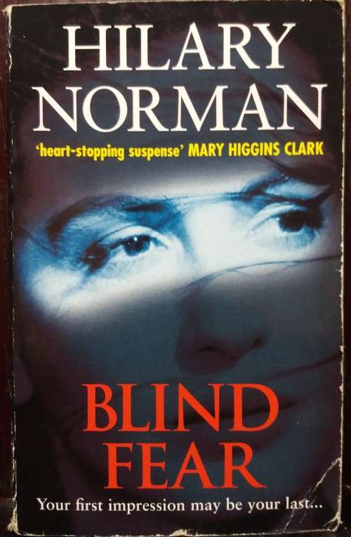 Blind Fear - Hilary Norman