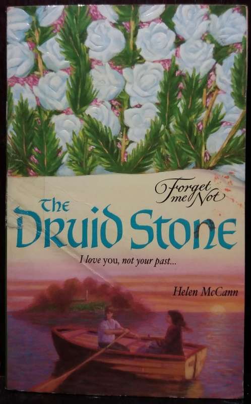 The Druid Stone - Helen McCann
