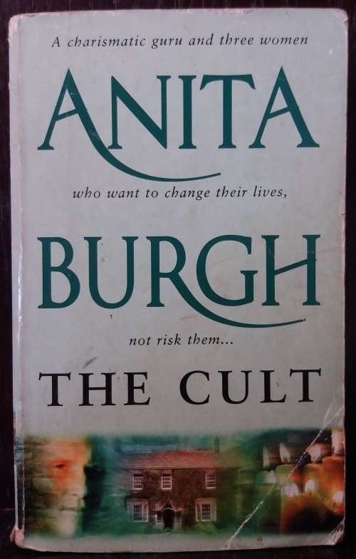 The Cult - Anita Burgh