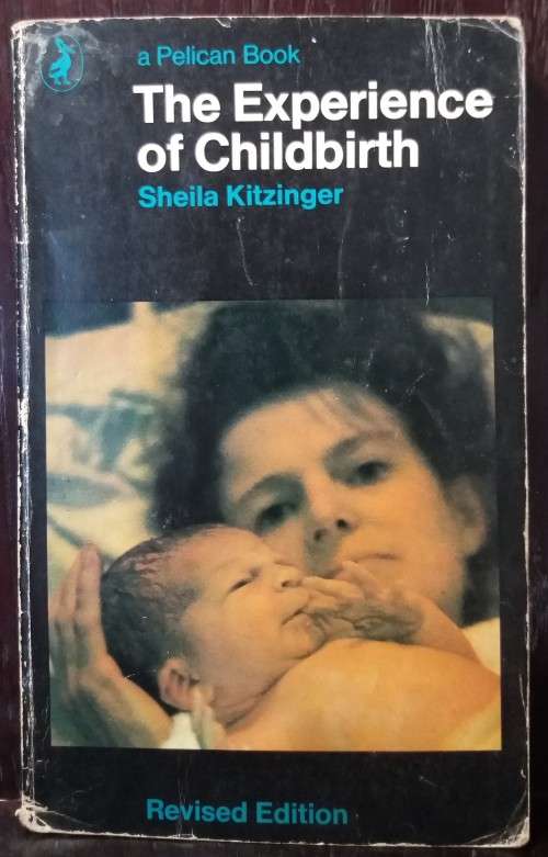 The Experience of Childbirth - Sheila Kitzenger