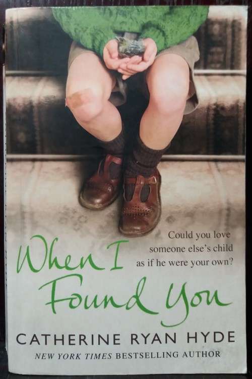 Books: When I Found you - Catherine Ryan Hyde