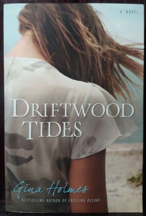 Driftwood Tides - Gina Holmes