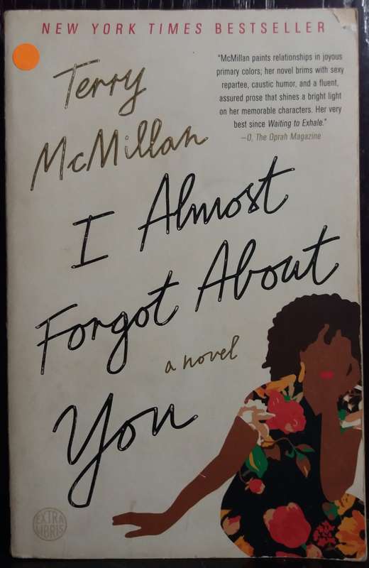 I Almost Forgot About You - Terry McMillan