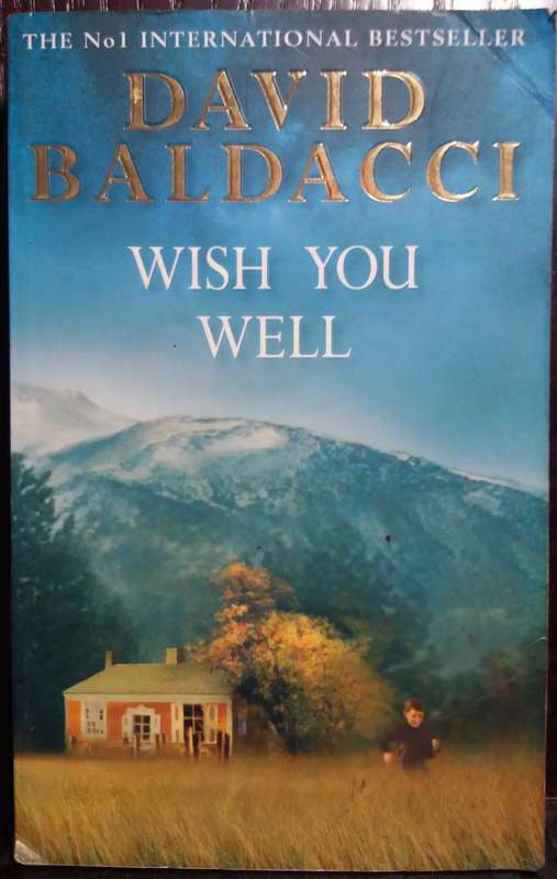 Wish you Well - David Baldacci