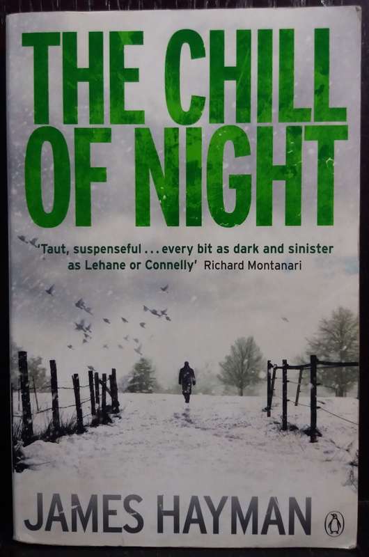 The Chill of Night - James Hayman
