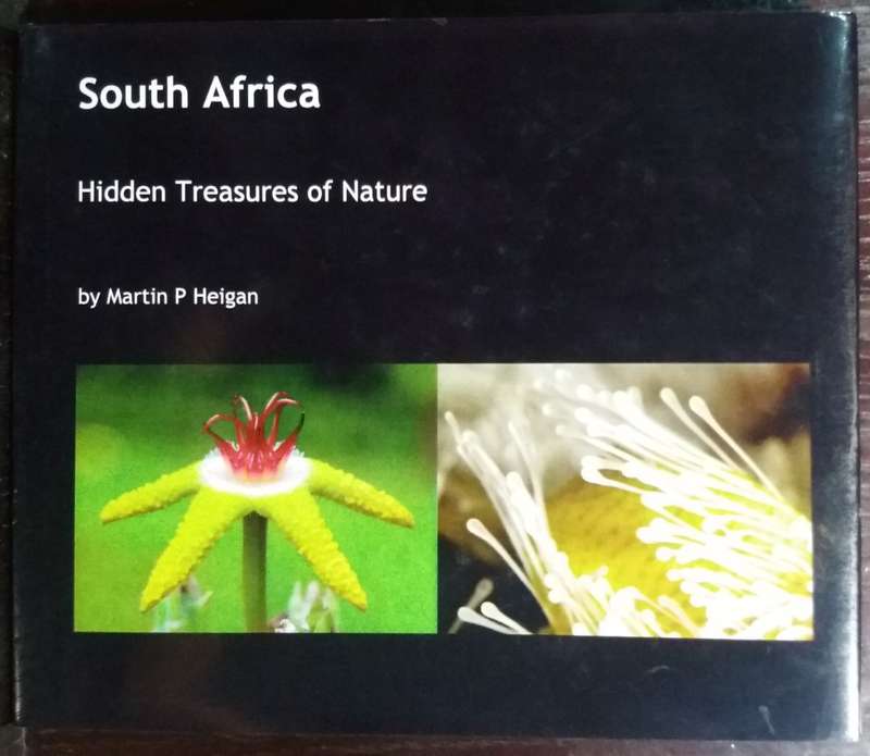South Africa: Hidden Treasures of Nature - Martin P Heigan (Hardcover)