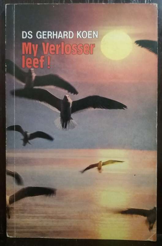 My Verlosser Leef - DS Gerhard Koen (Paperback)