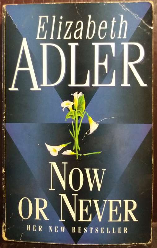 Now or Never - Elizabeth Adler