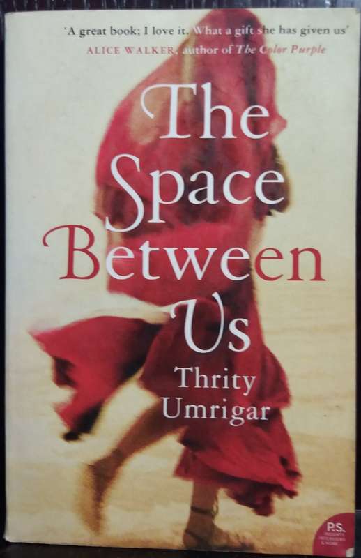 The Space Between us - Thrity Umrigar