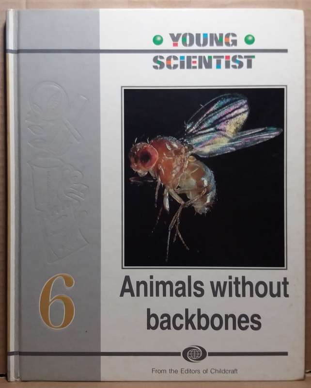 Young Scientist: Animals without backbones 6 - World Book Int.