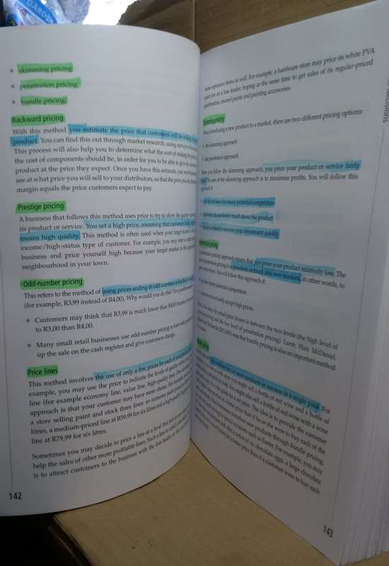 Basics of Entrepreneurship - C Nieuwenhuizen