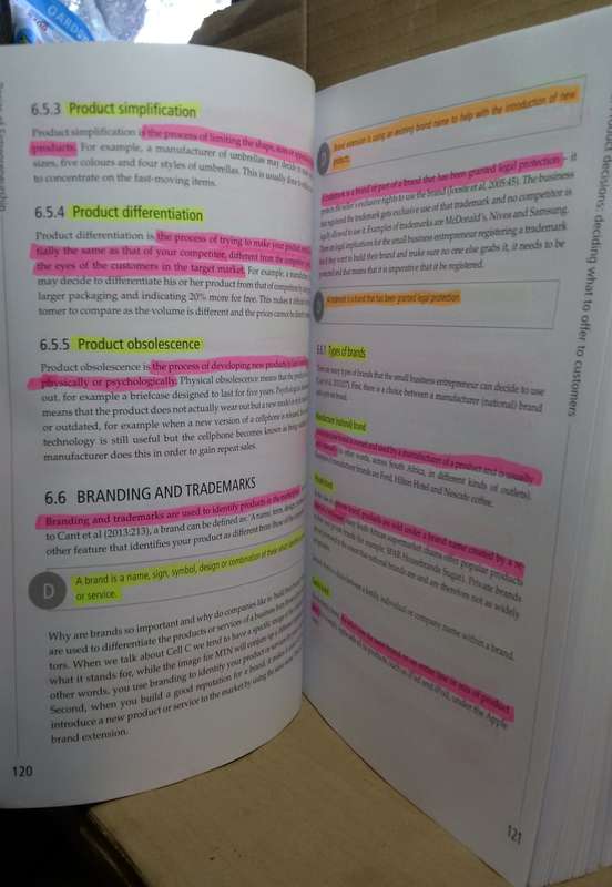 Basics of Entrepreneurship - C Nieuwenhuizen