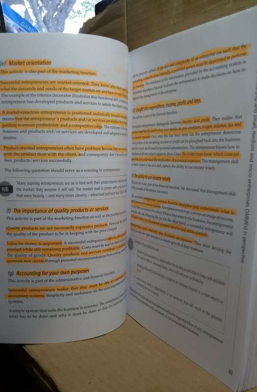 Basics of Entrepreneurship - C Nieuwenhuizen