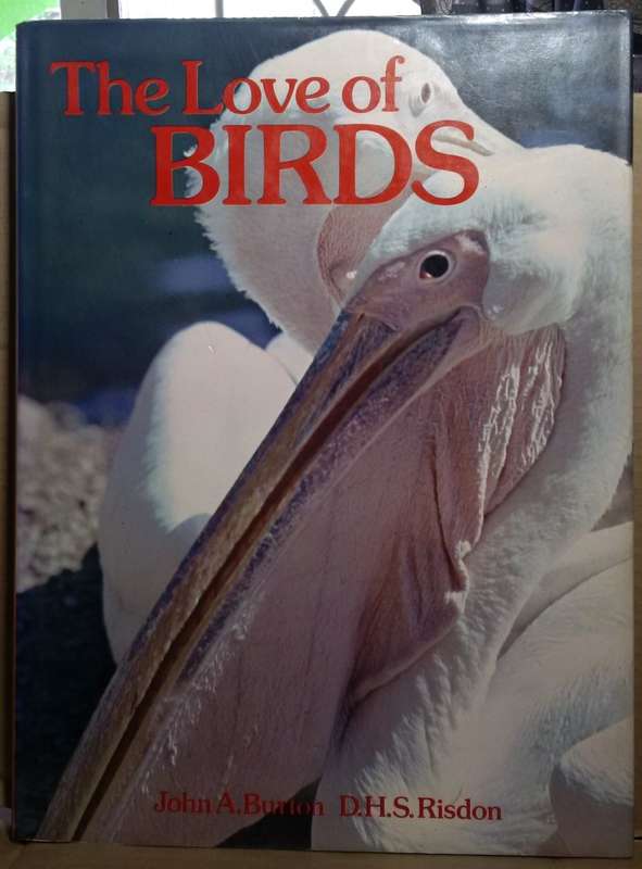 The Love of Birds - John A. Burton