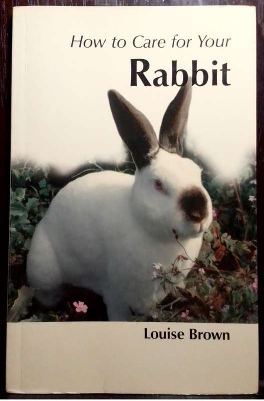 How to Care for your Rabbit - Louise Brown