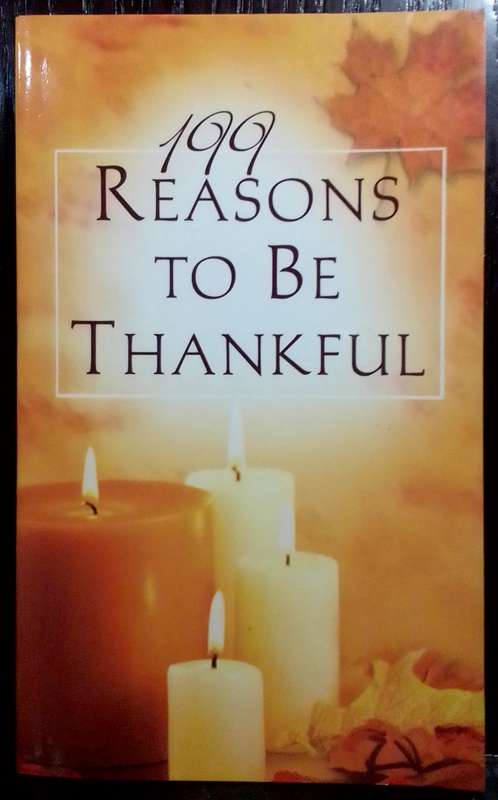 199 Reasons to be Thankful - Janice Hanna