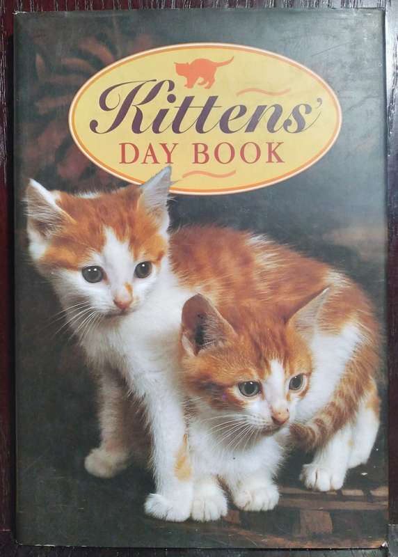 Kittens Day Book - Rebo International (Hardcover)