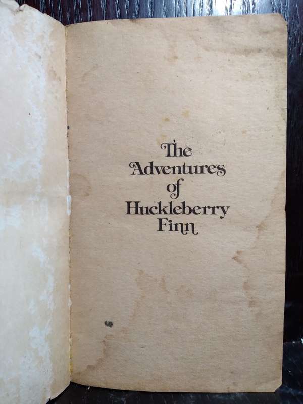 The Adventures of Huckleberry Finn - Mark Twain (1978 Dale Books)