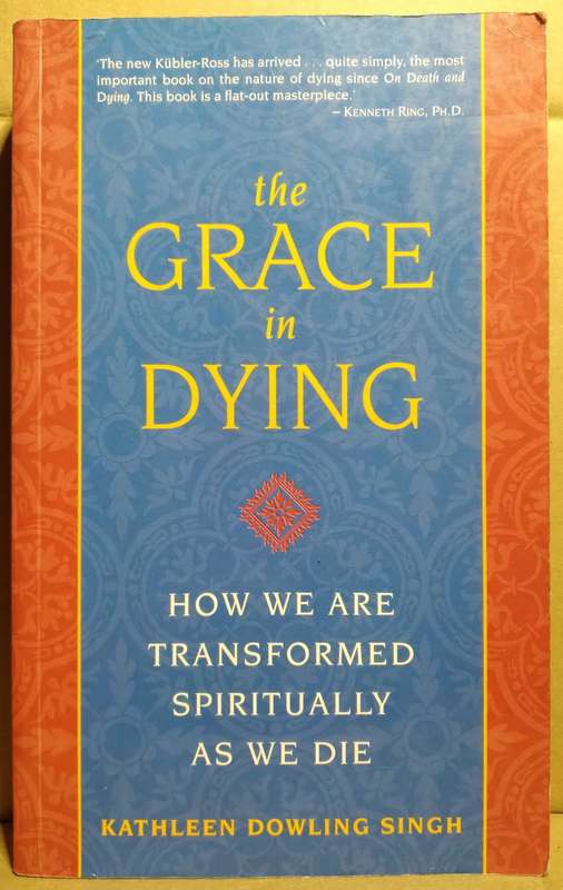 The Grace in Dying - Kathleen Dowling Singh