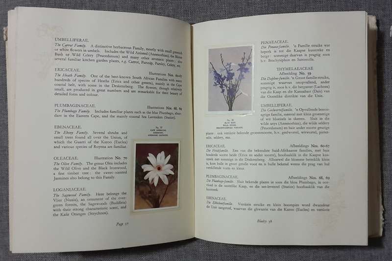 Our South Africa Flora complete set of 100 1950`s cigarette cards