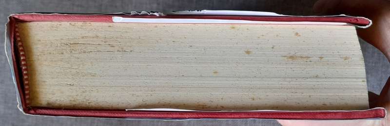 Precipice - Colin Forbes Hardcover